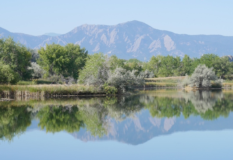 撮影例, OM SYSTEM Olympus M.Zuiko Digital ED 40-150mm F4.0