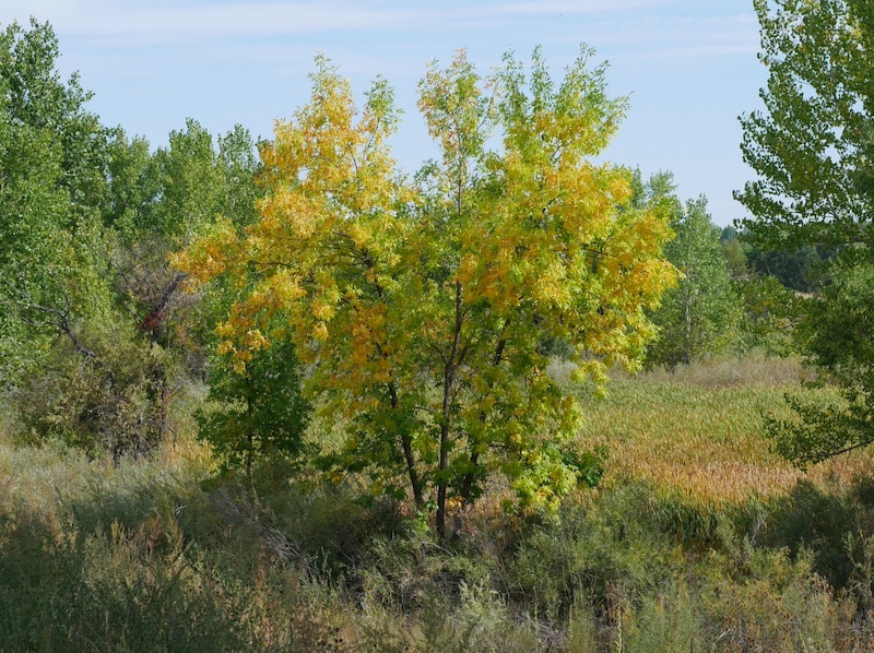 撮影例, OM SYSTEM Olympus M.Zuiko Digital ED 40-150mm F4.0