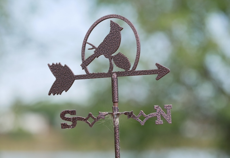 撮影例, OM SYSTEM Olympus M.Zuiko Digital ED 40-150mm F4.0