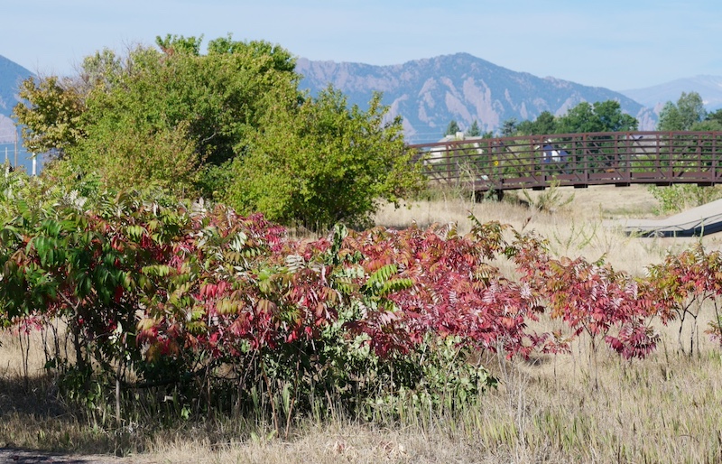 撮影例, OM SYSTEM Olympus M.Zuiko Digital ED 40-150mm F4.0