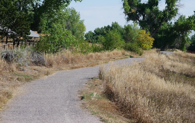 撮影例, OM SYSTEM Olympus M.Zuiko Digital ED 40-150mm F4.0