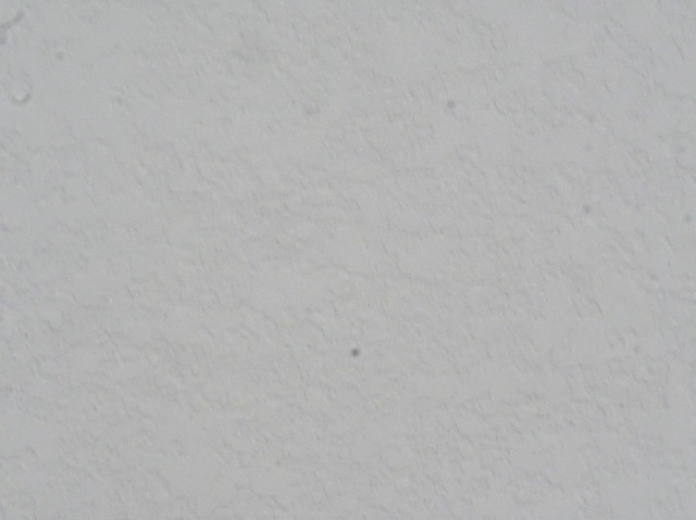 MFT センサークリーニング DIY マイクロフォーサーズ