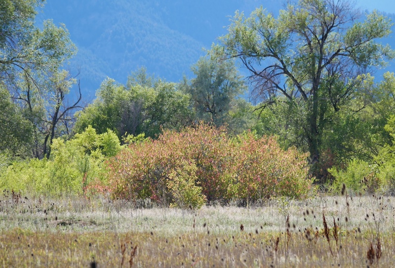 撮影例, OM SYSTEM Olympus M.Zuiko Digital ED 40-150mm F4.0
