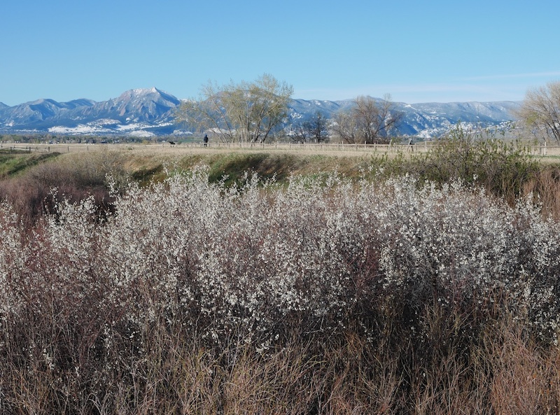 標準ズーム M.ZUIKO 12-45mm F4.0 PRO, マクロフォーサーズ MFT レンズ