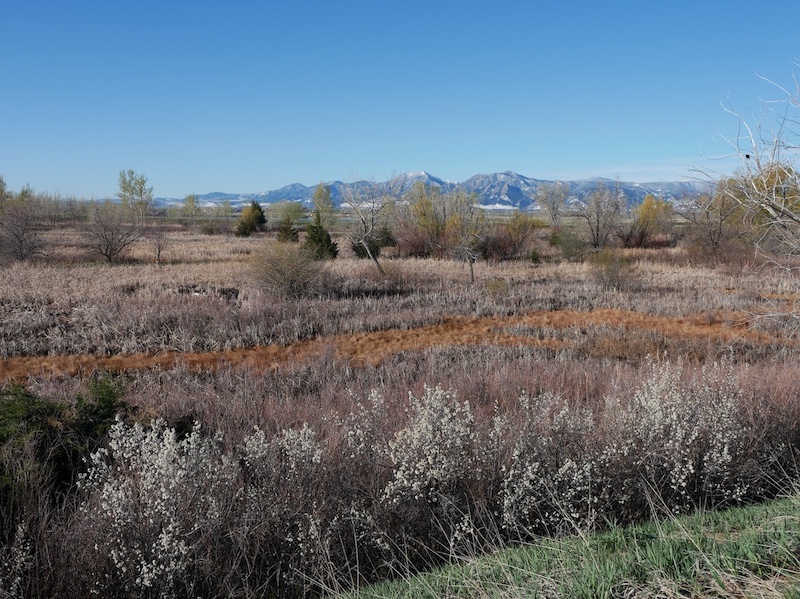 標準ズーム M.ZUIKO 12-45mm F4.0 PRO, マクロフォーサーズ MFT レンズ