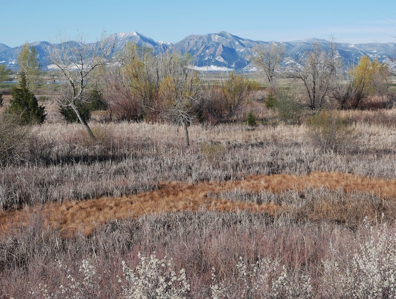 標準ズーム M.ZUIKO 12-45mm F4.0 PRO, マクロフォーサーズ MFT レンズ